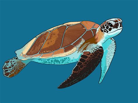 Explore 497+ Free Turtles Illustrations: Download Now .